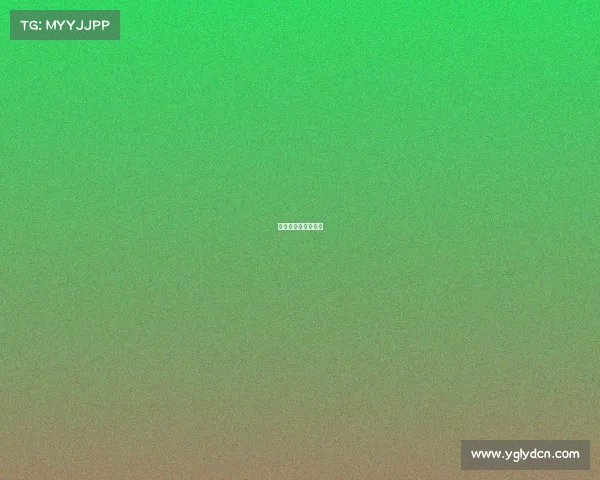 北京残奥会比赛项目